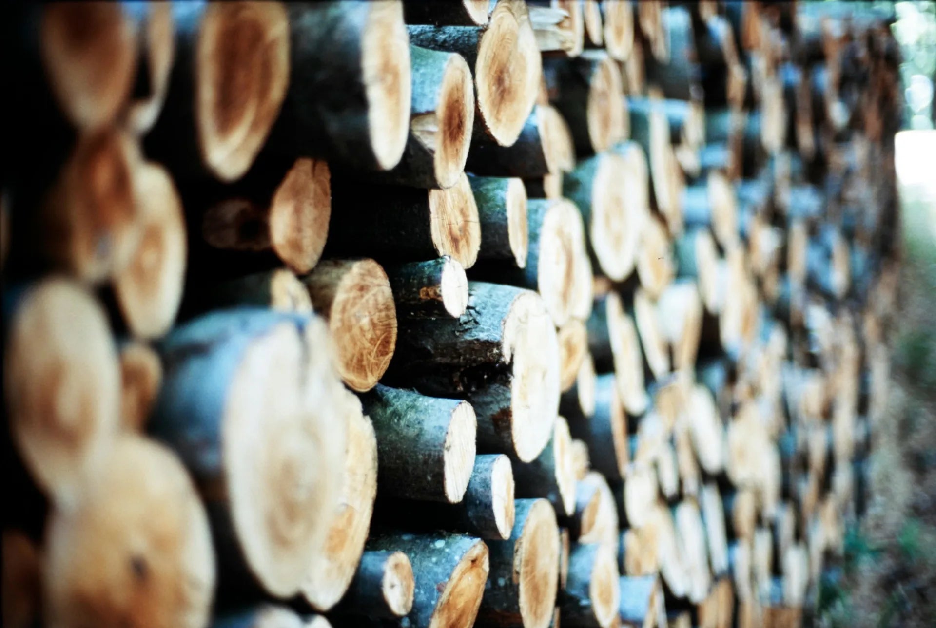 Staplad björkved i hög kvalitet, ugnstorkad premiumved redo för eldning – VedOnline.se