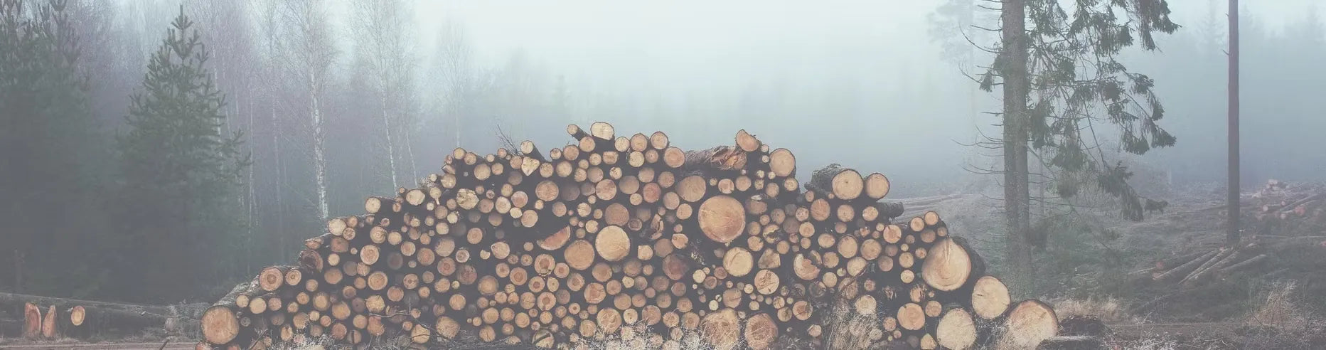 Staplad ved i dimmig skog – symbol för värme, natur och kvalitet